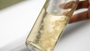 Leia mais sobre o artigo O que é cultura líquida de fungos?