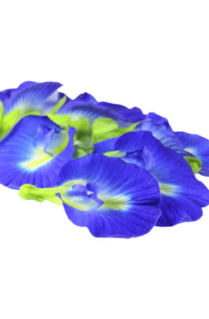 Flor de Fada Azul Extrato (30ml)