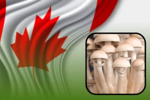 Leia mais sobre o artigo Alberta Faz História: Primeira Província Canadense a Regulamentar Terapia Psicodélica