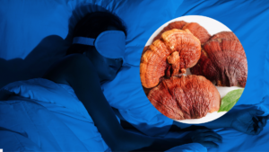 Leia mais sobre o artigo A Importância de uma Boa Noite de Sono: Transforme Suas Noites com o Cogumelo Reishi