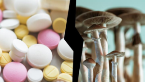 Leia mais sobre o artigo Cogumelos Mágicos Superam Antidepressivos? Descubra os Benefícios dos Psicodélicos no Tratamento da Depressão