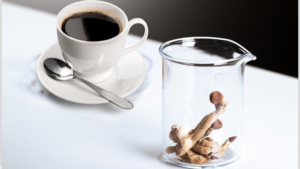 Leia mais sobre o artigo Como a Microdosagem de Cogumelos Mágicos no Café Transformou a Vida de Meu Cônjuge: A História de uma Melhora na Depressão