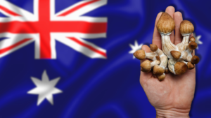 Leia mais sobre o artigo DECISÃO HISTORICA NA AUSTRALIA SOBRE OS PSICODÉLICOS