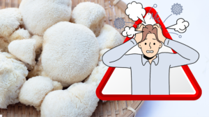 Leia mais sobre o artigo Descubra Como o Cogumelo Juba de Leão Pode Fortalecer Seu Sistema Imunológico e Combater o Estresse