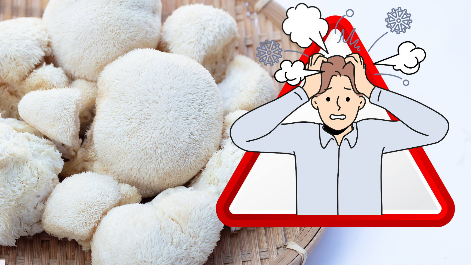 Leia mais sobre o artigo Descubra Como o Cogumelo Juba de Leão Pode Fortalecer Seu Sistema Imunológico e Combater o Estresse