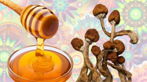 Leia mais sobre o artigo O mágico Blue Honey, o que é e como preparar?