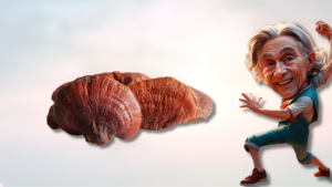 Leia mais sobre o artigo Ganoderma Lucidum: O Cogumelo da Imortalidade e Seus Benefícios para a Saúde