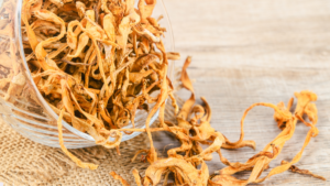 Leia mais sobre o artigo Cordyceps militaris: Um Cogumelo Funcional Rico em Proteínas de Alta Qualidade