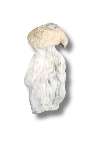 cogumelo mágico APE