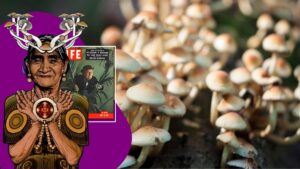Leia mais sobre o artigo Cogumelos com psilocibina: a descoberta revolucionária que mudou o mundo